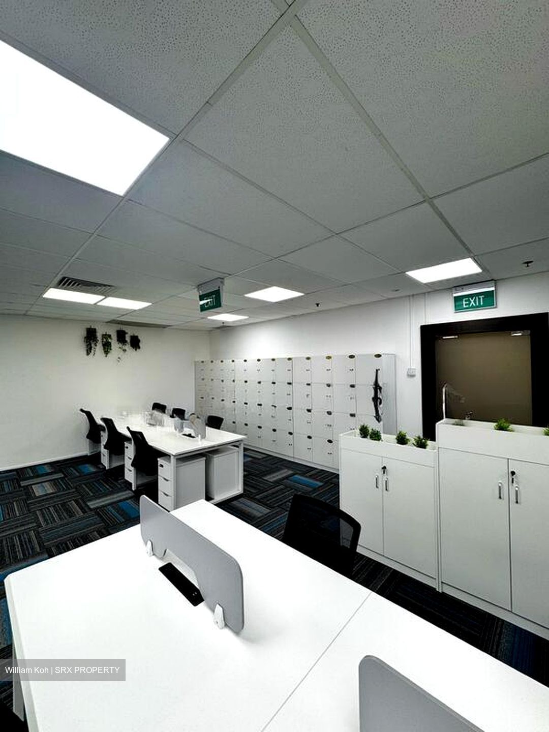 Fortune Centre (D7), Office #521729981